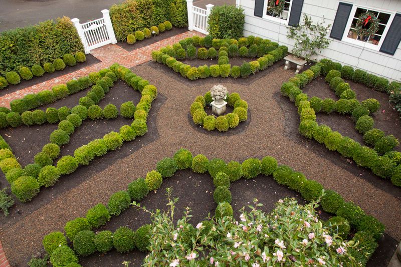 Formal Boxwood Hedges