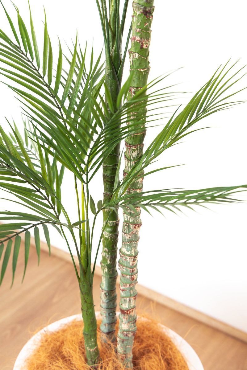 22 Florida Home Design Trends That Are Mega-Popular For Weird Reasons - Decor Hint Indoor Palm Trees
