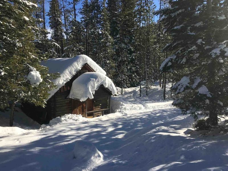 5 Properties Losing Value In Oregon And 10 That Are Hard To Sell - Decor Hint Remote Cabins in the Cascades