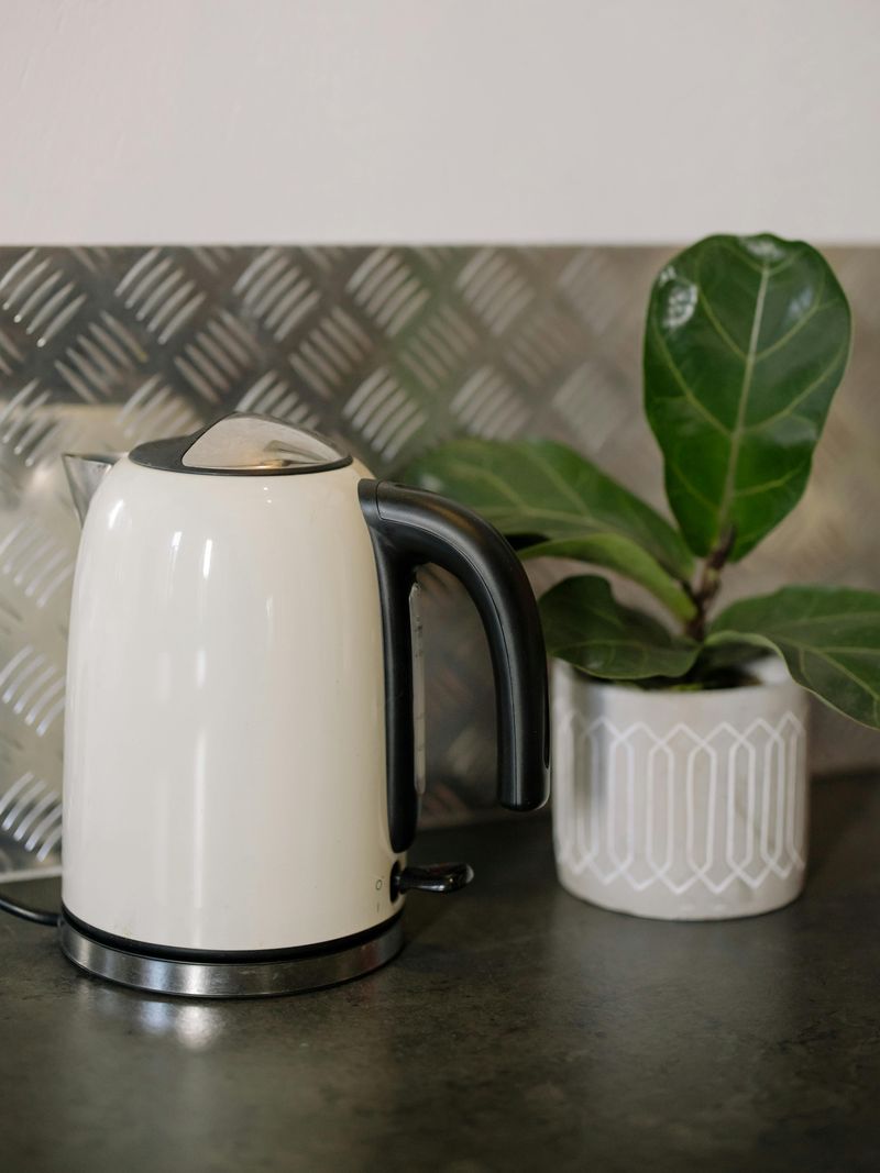 Practical Ways To Clean Your Home With Lemon Peels - Decor Hint Kettle Descaler