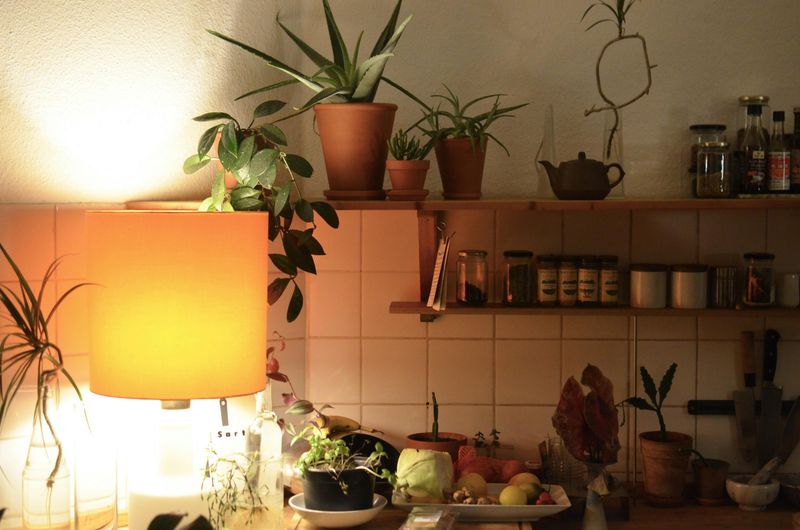 Indoor Herb Gardens