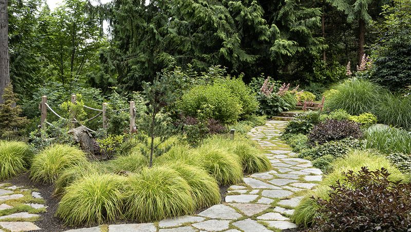 16 Garden Paths In Washington That Capture Park-Like Beauty - Decor Hint Woodland Whisper Way