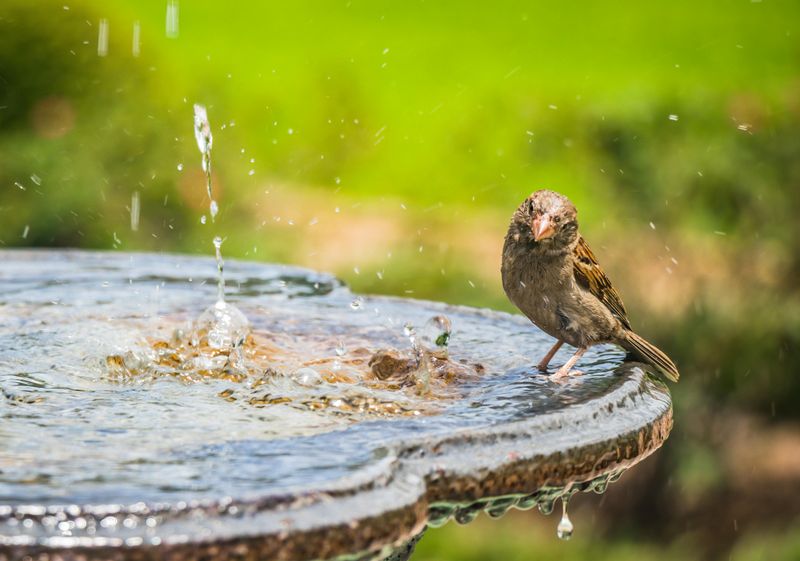 8 Practical Ideas For A Nature-Inspired Front Porch - Decor Hint Water Feature Serenity
