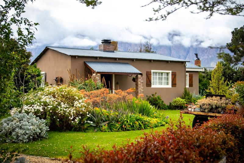 9 Renovation Decisions That Rarely Pay Off In The Long Run - Decor Hint Elaborate Landscaping