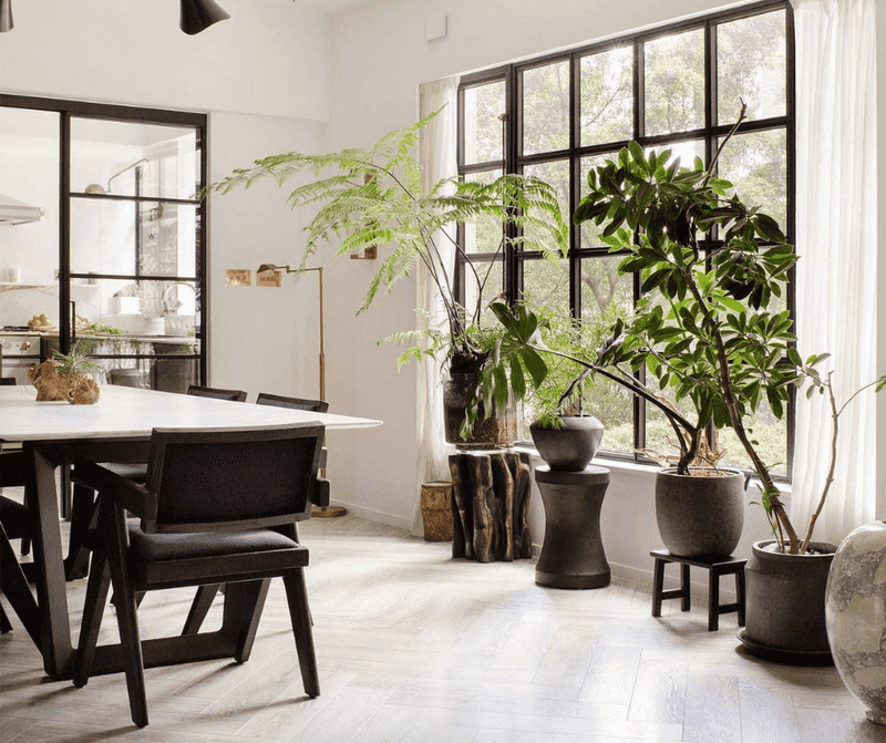 Introduce Plants