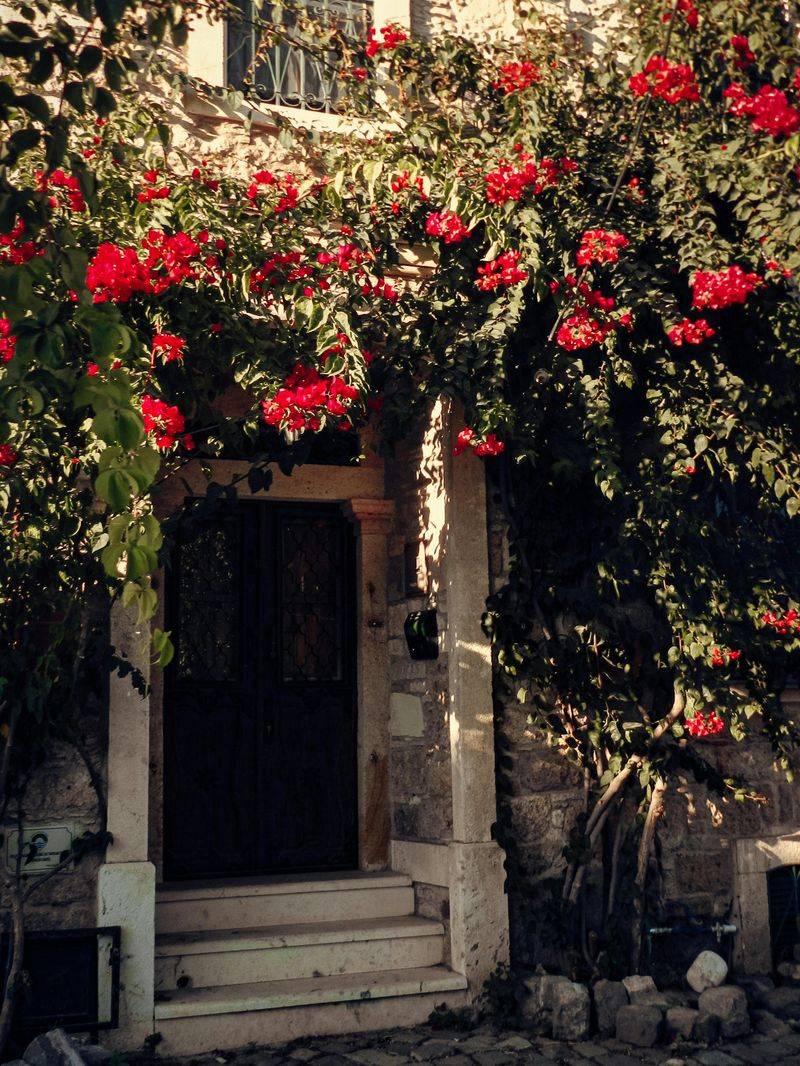 Seasonal Flower Displays