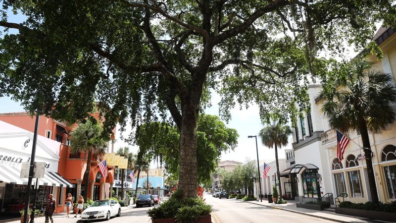 Las Olas Boulevard's Landscaping Letdown