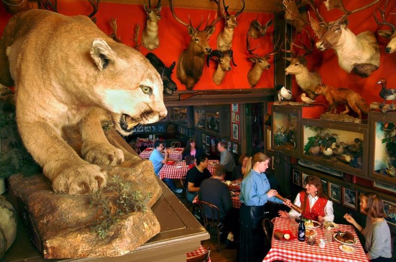Buckhorn Exchange in Denver
