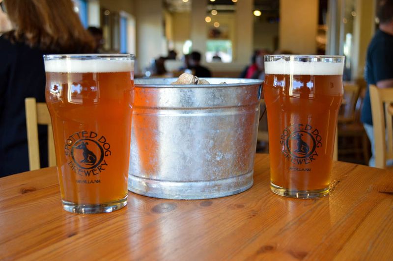 10 New Mexico Green Chile Cafes That Bring The Heat - Decor Hint Spotted Dog Brewery – Las Cruces, NM