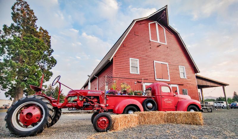 Canby Asparagus Farm and Casa de Tamales