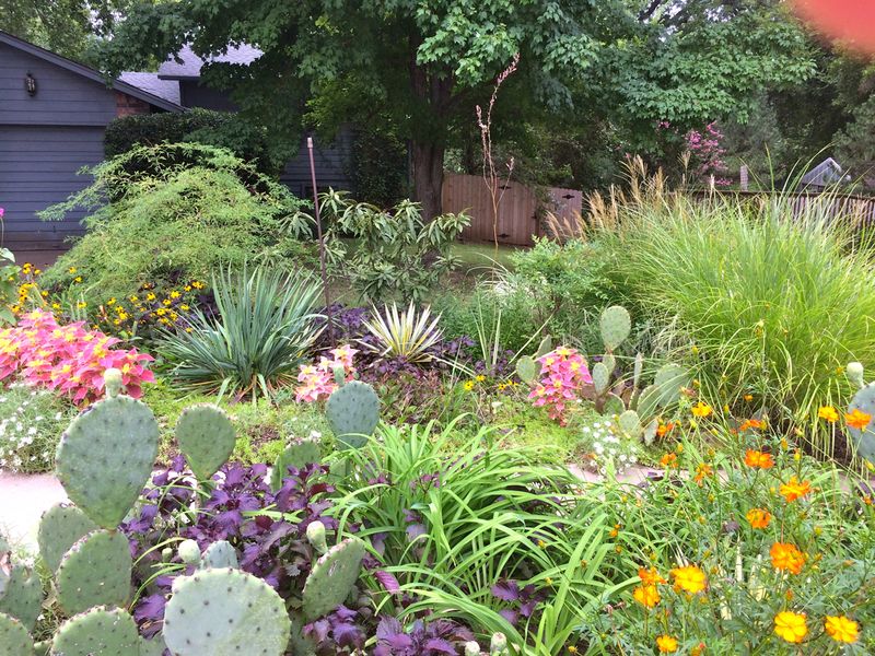 Native Plant Landscaping