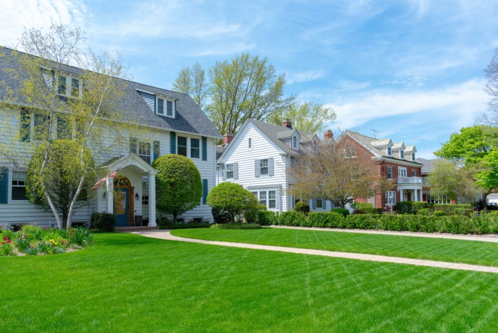 Traditional Lawns - Decor Hint