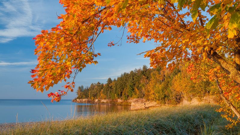 11 Wallpaper Prints In Michigan That Feel Like The Good Old Days - Decor Hint Michigan Autumn Splendor