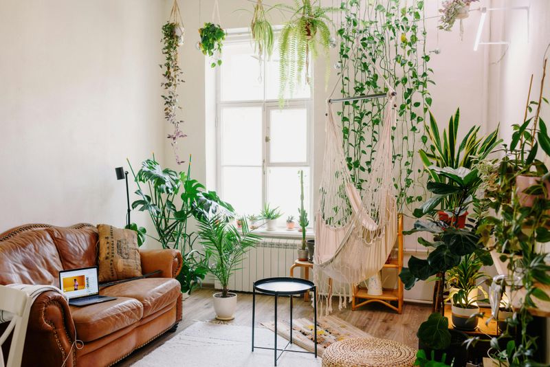 15 Practical Tips For Designing A Comfortable And Functional Home - Decor Hint Include Greenery For A Fresh, Inviting Feel