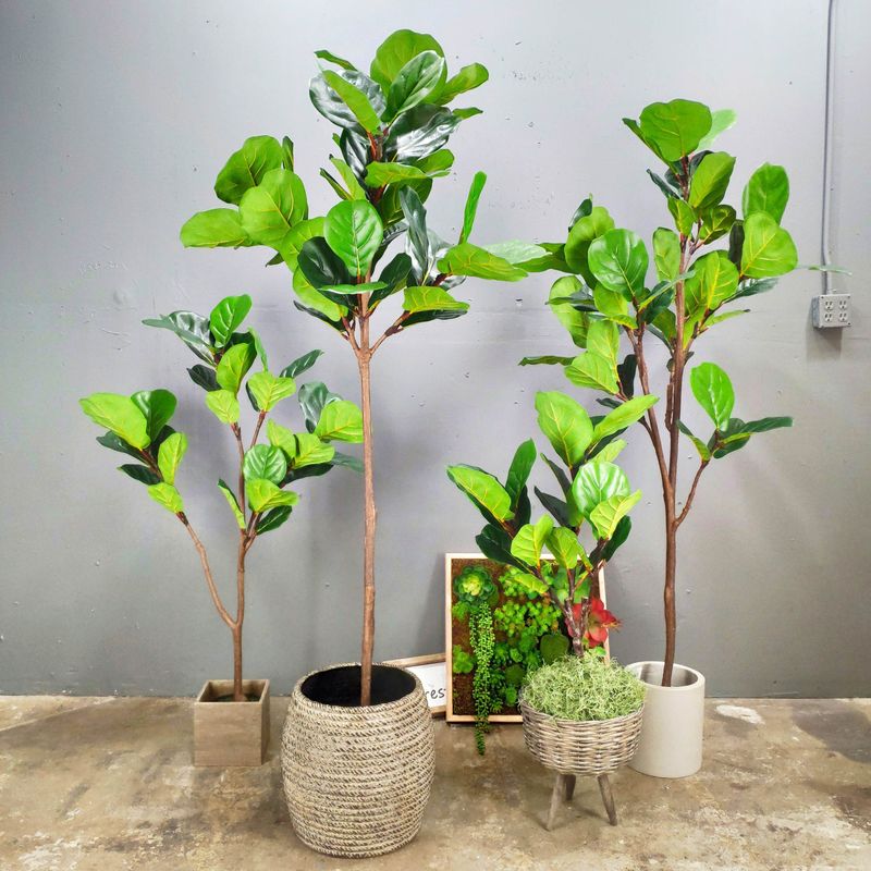 12 Vintage Home Decor Trends Coming Back In Illinois - Decor Hint Houseplants Create Living History