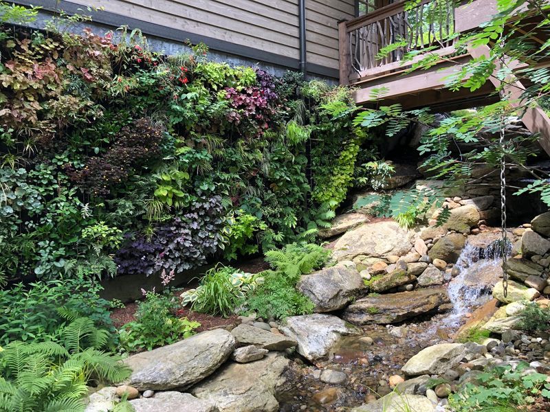 Vertical Gardens and Trellises