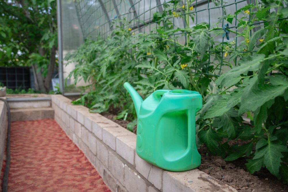 Water In Forgotten Containers
