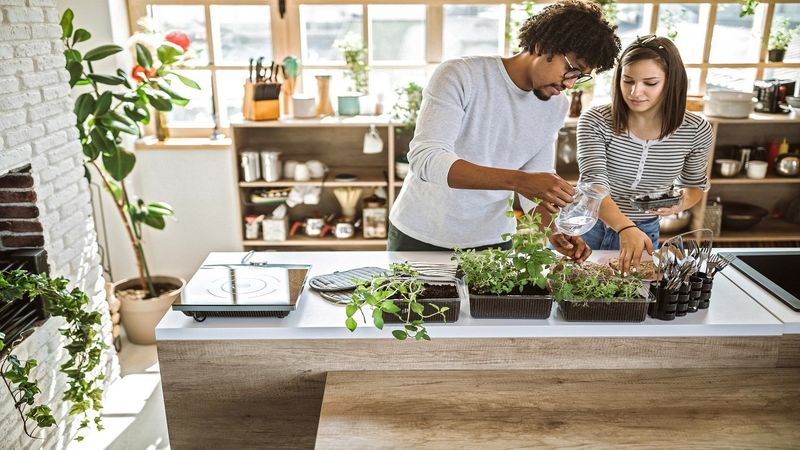 7 Kitchen Wow Factors That Win Over California Buyers And 5 Finishing Touches That Attract Even More According To Interior Designers - Decor Hint Indoor Herb Gardens