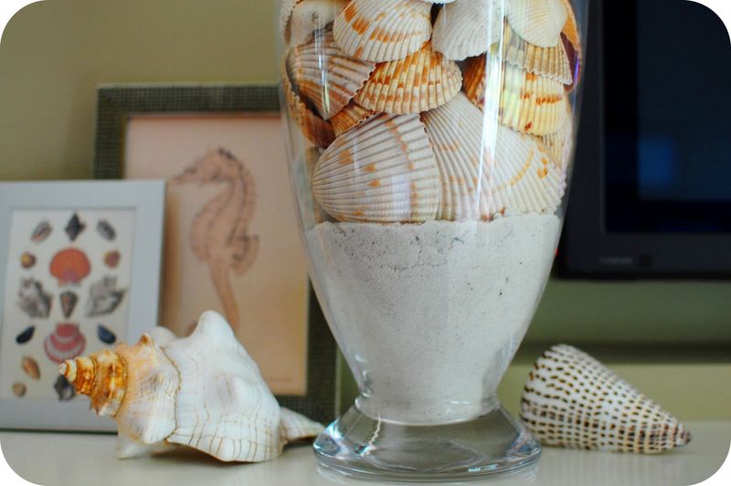 10 Signature Details Defining Florida Bedrooms With Coastal Style - Decor Hint Shell and Coral Decorative Touches