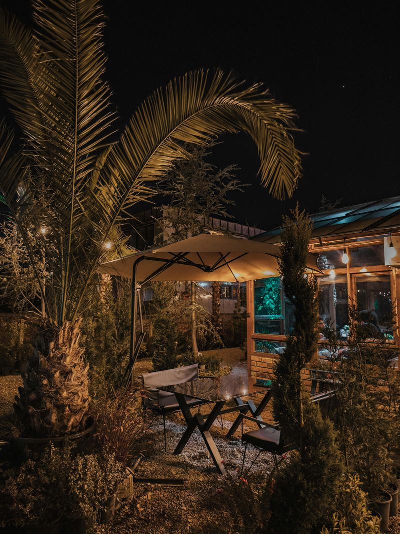 12 Backyard Mistakes Decreasing Your Home's Value - Decor Hint Pitch-Black Nightscape