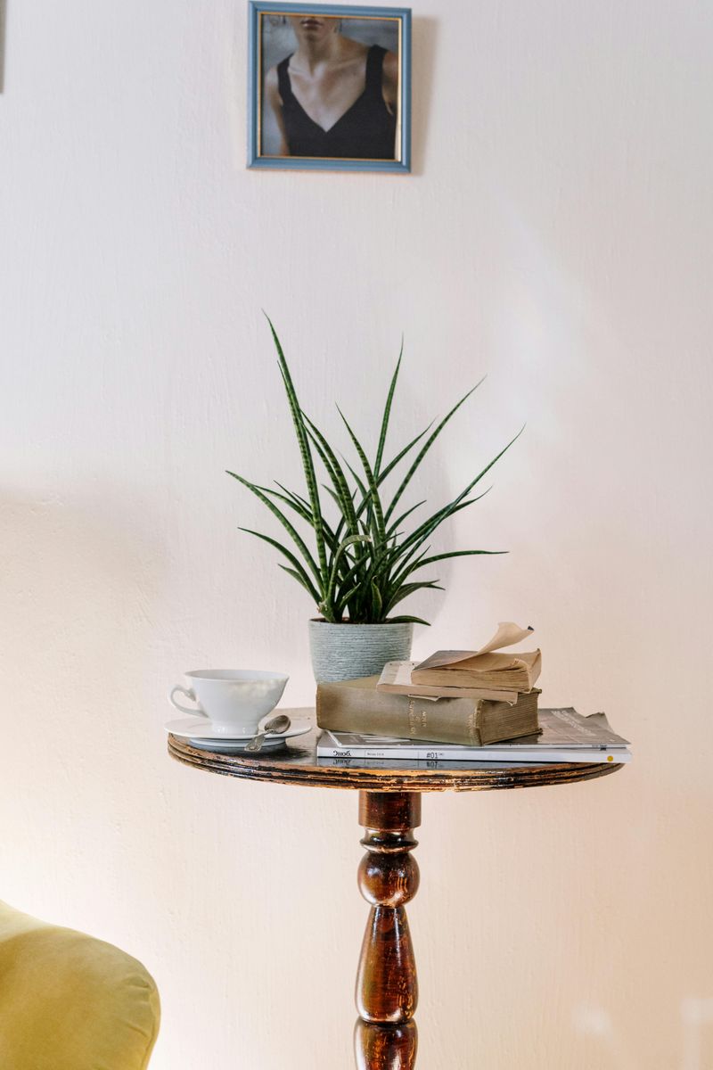 Classic Coffee Table