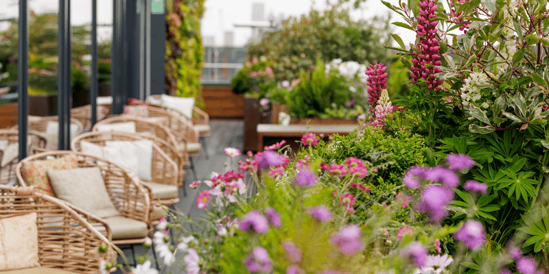 12 California Rooftop Patios With Décor That Locals Can’t Stop Talking About - Decor Hint Treehouse