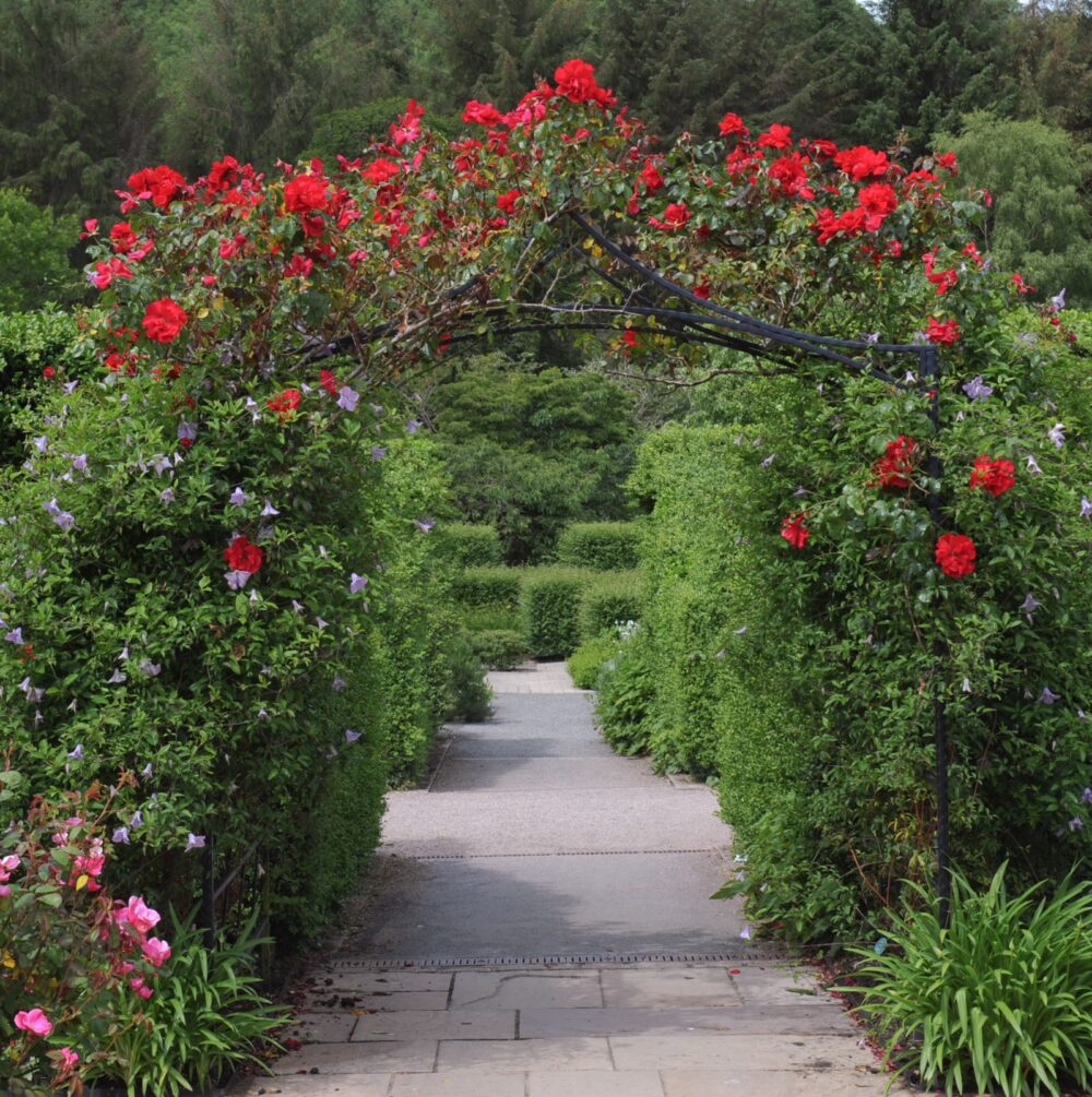 Practical Ways You Can Add English Garden Style To Your Outdoor Space - Decor Hint arbor draped with climbing roses - Decor Hint