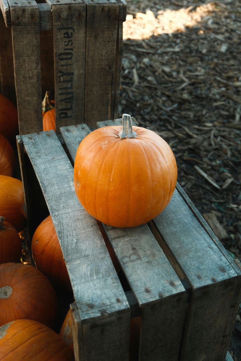 Wooden Crate Pumpkin Displays