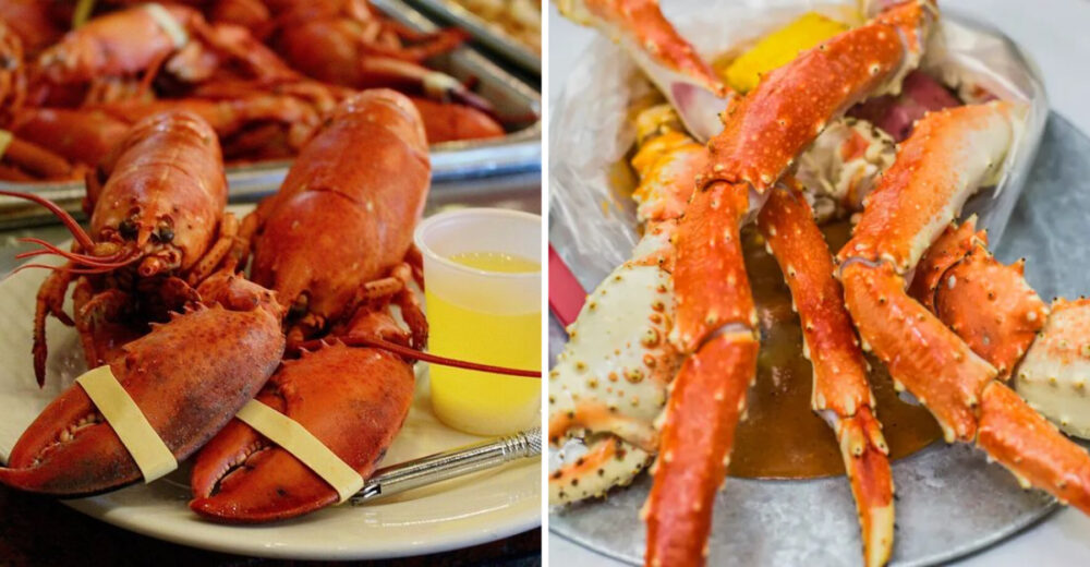10 Florida Seafood Buffets Serving Flavor From The First Bite 2 - Decor Hint