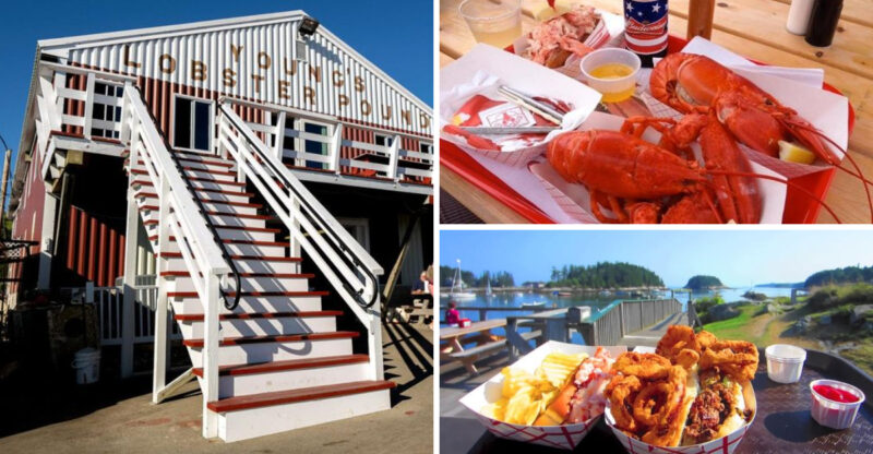 10 Maine Lobster Shacks That Never Disappoint