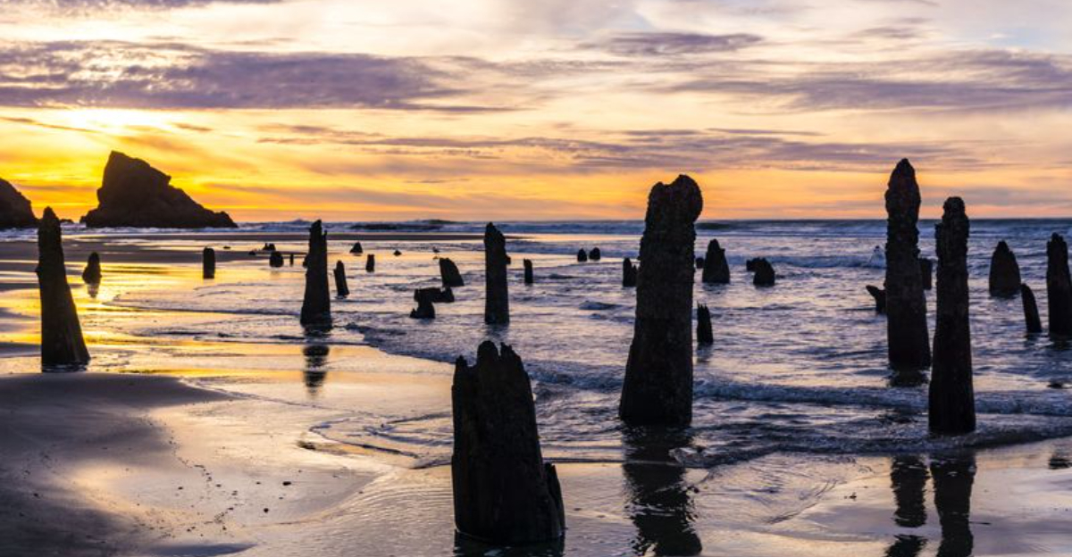 10 Oddly Beautiful Natural Wonders In Oregon That Will Blow Your Mind - Decor Hint