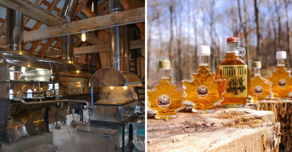 10 Ohio Maple Festivals Serving Pancakes With Syrup - Decor Hint