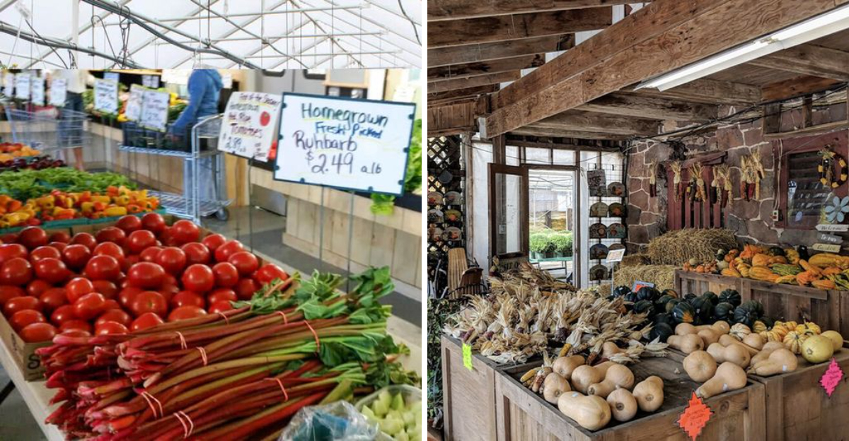 10 Pennsylvania Farmers Markets Serving Up Traditional Dutch Country Fare - Decor Hint 10 Pennsylvania Farmers Markets Serving Up Traditional Dutch Country Fare - Decor Hint