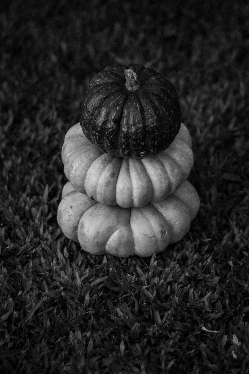 10 Porch Pumpkin Arrangements That Feel Classic Not Cheesy - Decor Hint Monochrome Pumpkin Stack