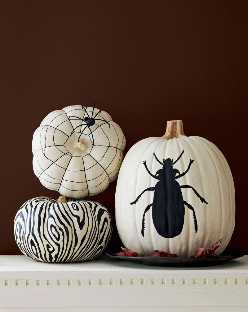 Black And White Pumpkin Display