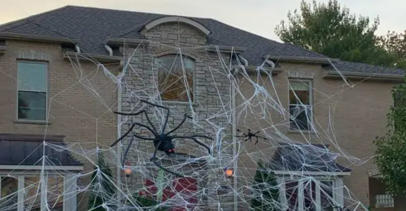 10 Urban Rooftops In Washington Light Up With Spooky Skeleton Scenes