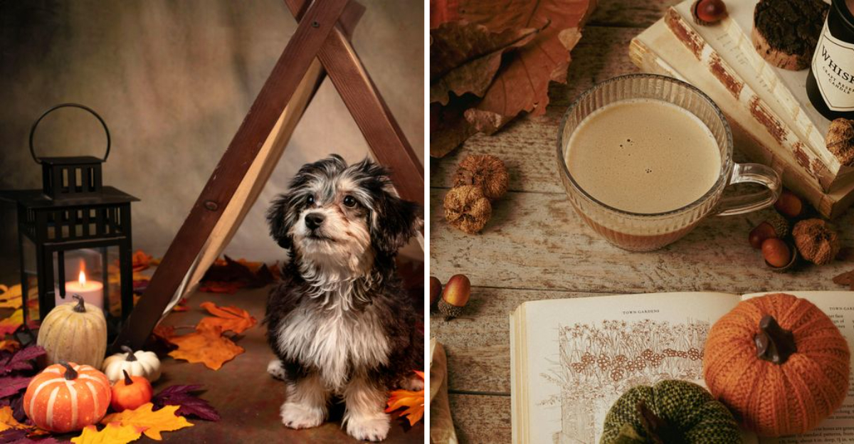 11 Cozy Halloween Decor Ideas That Work All Season Long - Decor Hint 11 Cozy Halloween Decor Ideas That Work All Season Long - Decor Hint