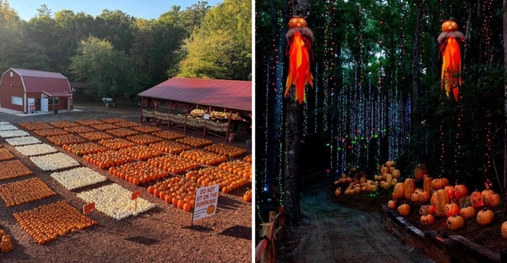 11 Fall Road Trips Through Georgias Pumpkin Country - Decor Hint