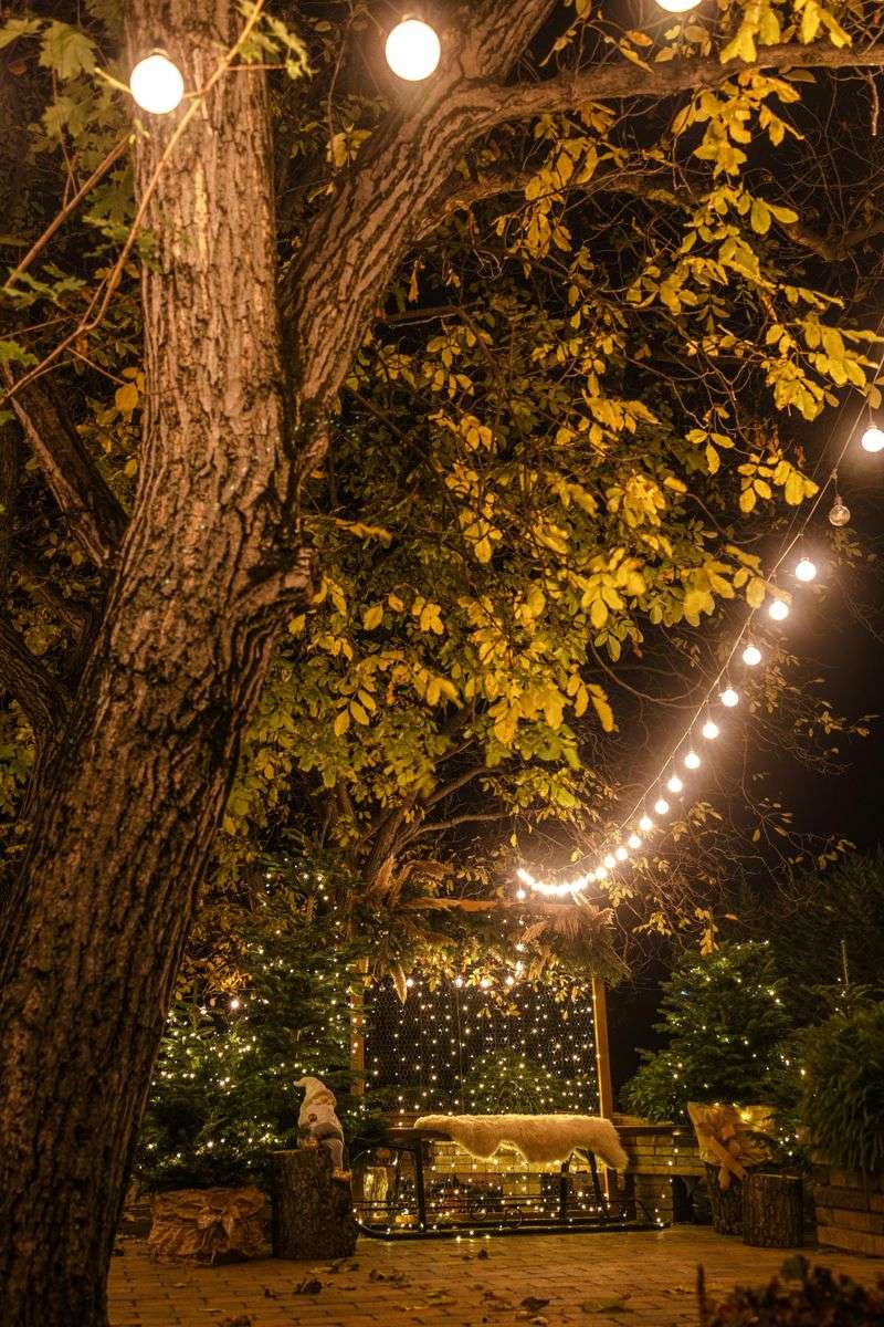 11 Practical And Stylish Ways To Light Up Your Garden - Decor Hint Fairy String Lights