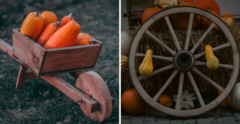 11 Simple Front Yard Displays That Capture Harvest Season - Decor Hint