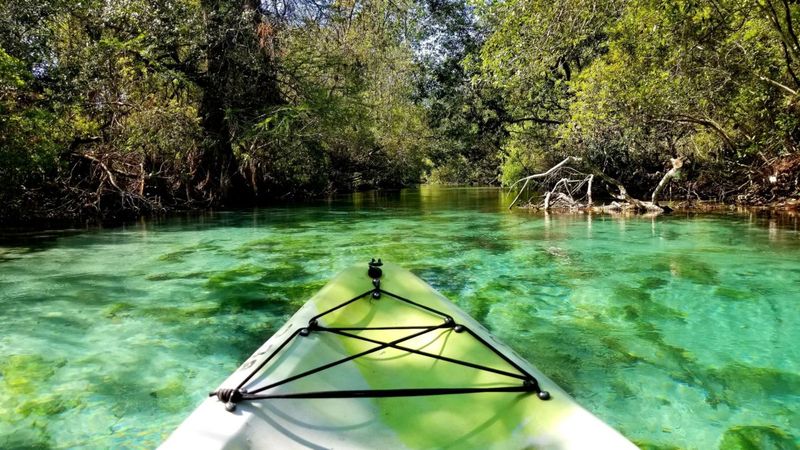 Weeki Wachee Springs: Home of Legendary Mermaids