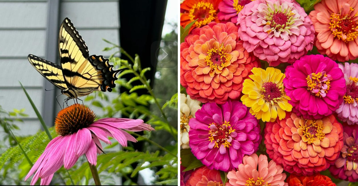 12 Kid Friendly Plants That Are Safe For Families In Pennsylvania - Decor Hint