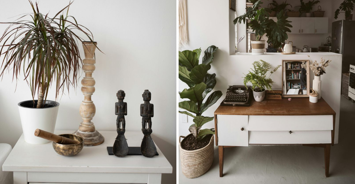 11 Things You Might Buy That Could Make Your Home Less Tidy - Decor Hint 12 Things You Might Buy That Could Make Your Home Less Tidy - Decor Hint