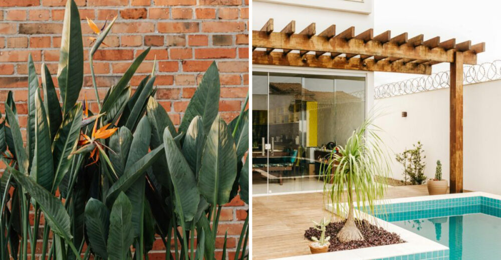 13 Landscaping Mistakes That Can Raise Your Homes Temperature - Decor Hint