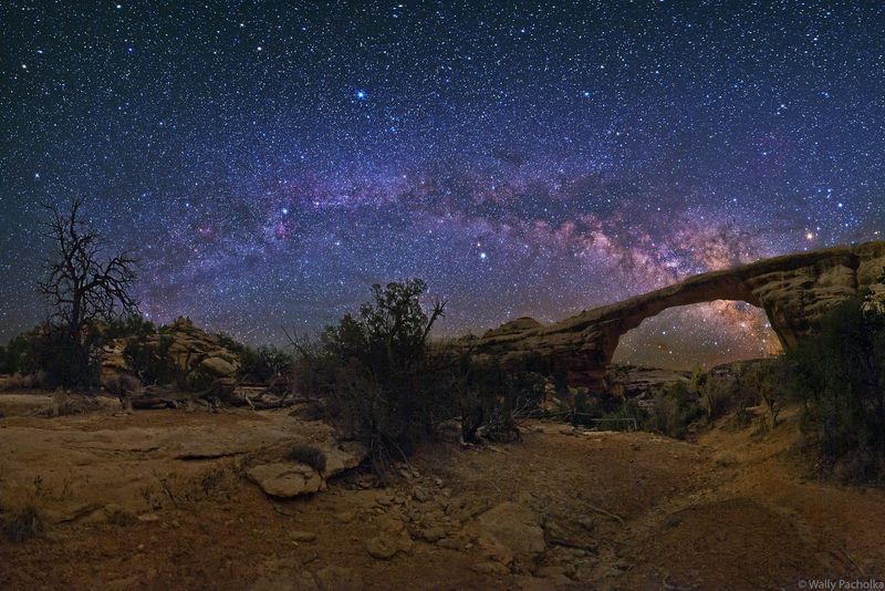 Natural Bridges National Monument
