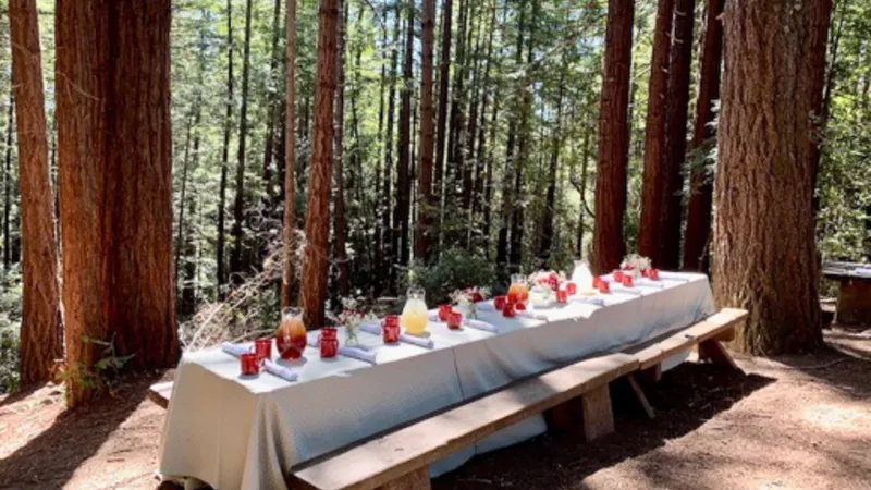 Cozy Gourmet Picnic Under The Redwoods