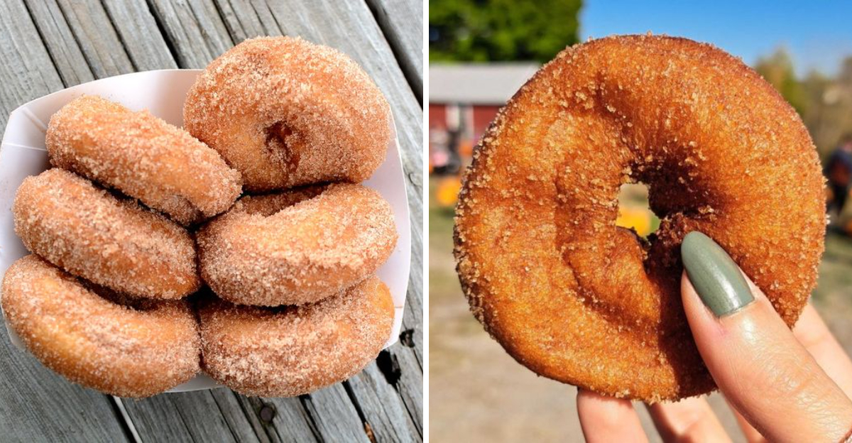13 Upstate New York Cider Donut Stands Worth The Turnoff - Decor Hint