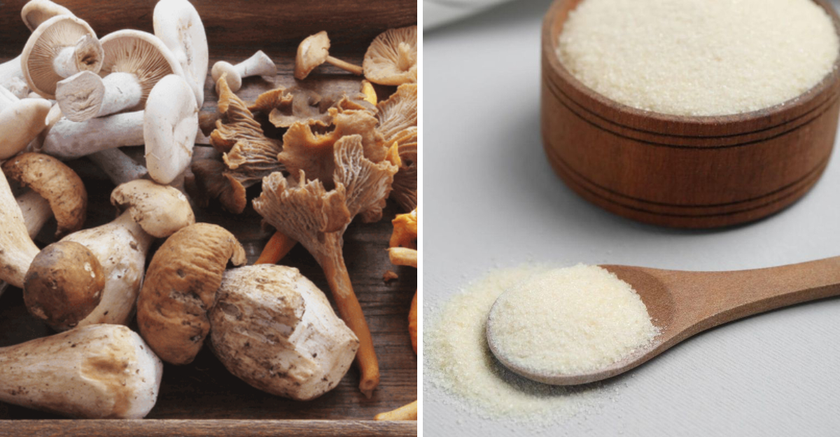 15 Healthy Psyllium Husk Substitutes Commonly Used in Oregon - Decor Hint 15 Healthy Psyllium Husk Substitutes Commonly Used in Oregon - Decor Hint