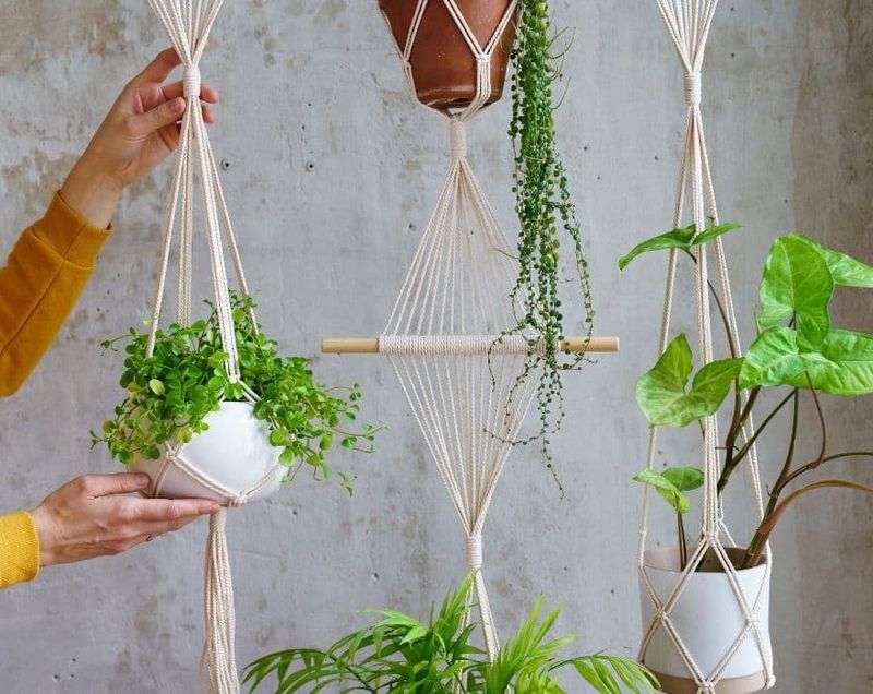 Hanging Macramé Planters In Bright Windows