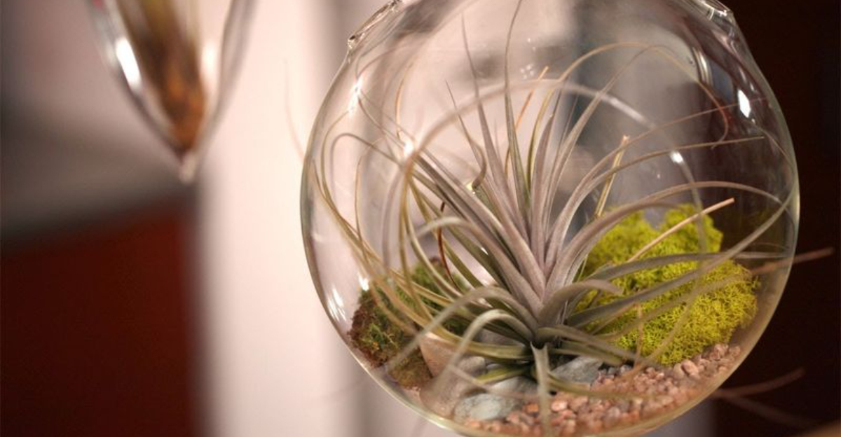 16 Ways To Style Indoor Plants For A Healthier Home In Oregon - Decor Hint